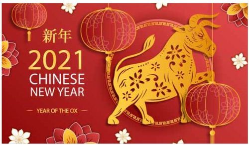 河南盛順凱新型建筑材料有限公司祝大家新年快樂，牛年更比一年牛！